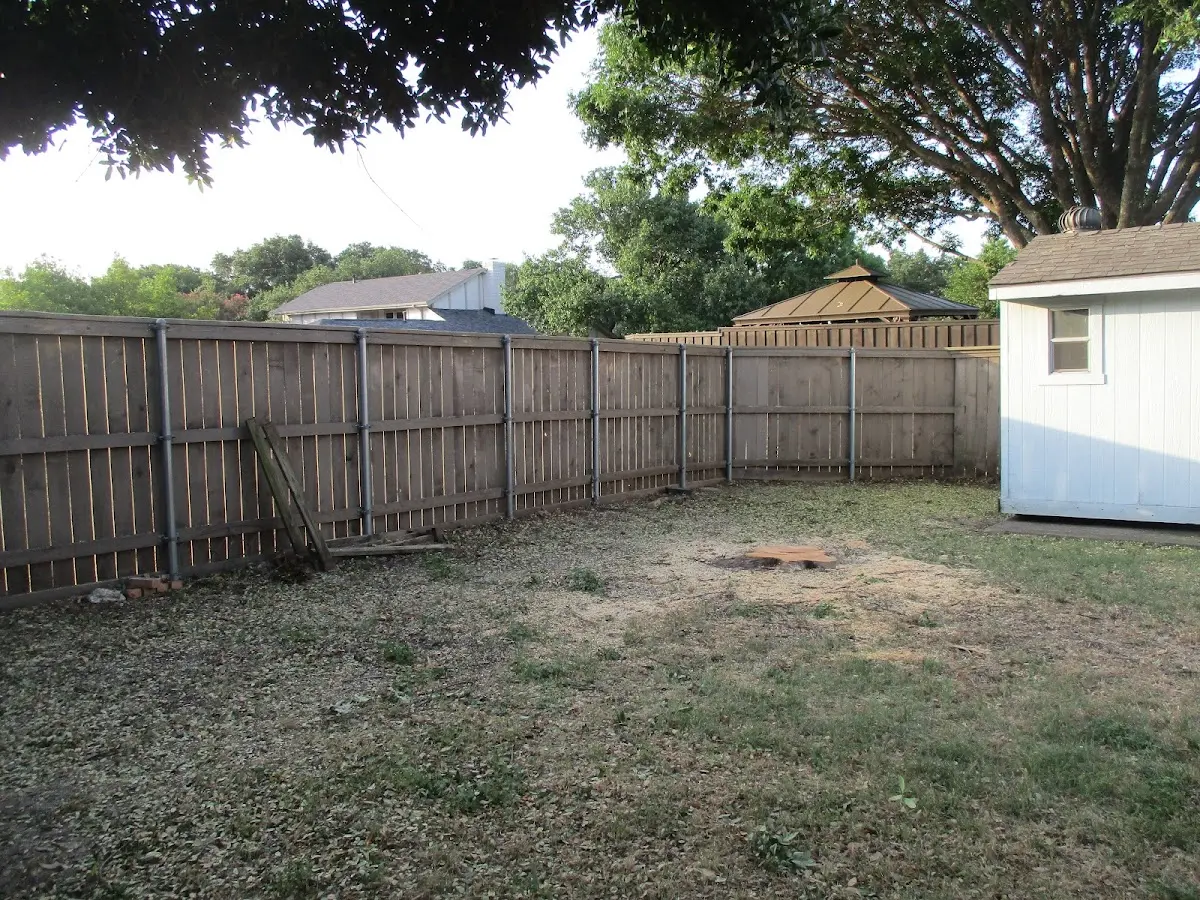 Cleared yard after professional tree removal in East Bethany