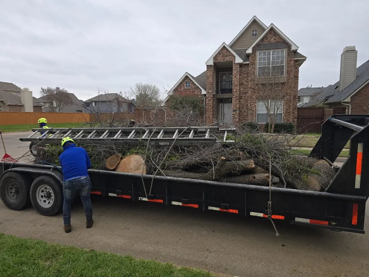 Expert Tree Removal with proper safety equipment in East Bethany